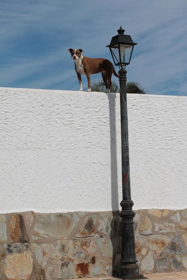 Golf View Apartment - Stunning Ocean View Golf Del Sur San Miguel de Abona Luaran gambar
